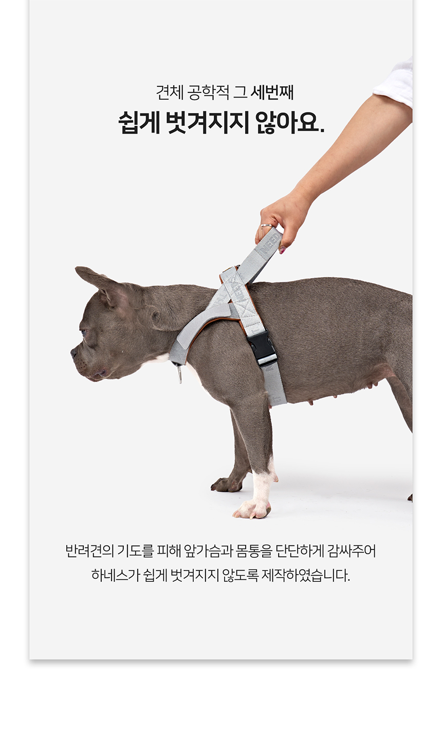 [무료배송] 니즈더펫 인터라켄 티라인 하네스 XXS-XL 12번째