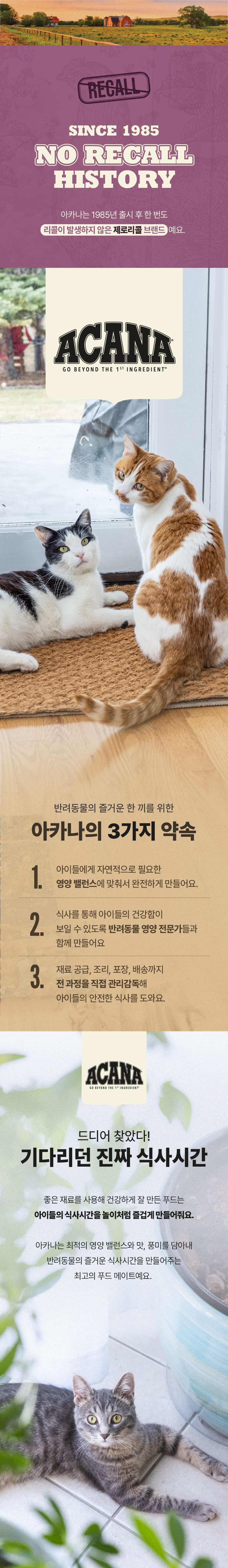 아카나 캣 하이프로틴 키튼 1.8kg 1번째