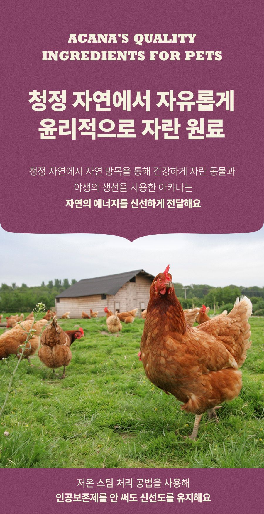 아카나 캣 하이프로틴 키튼 1.8kg 6번째