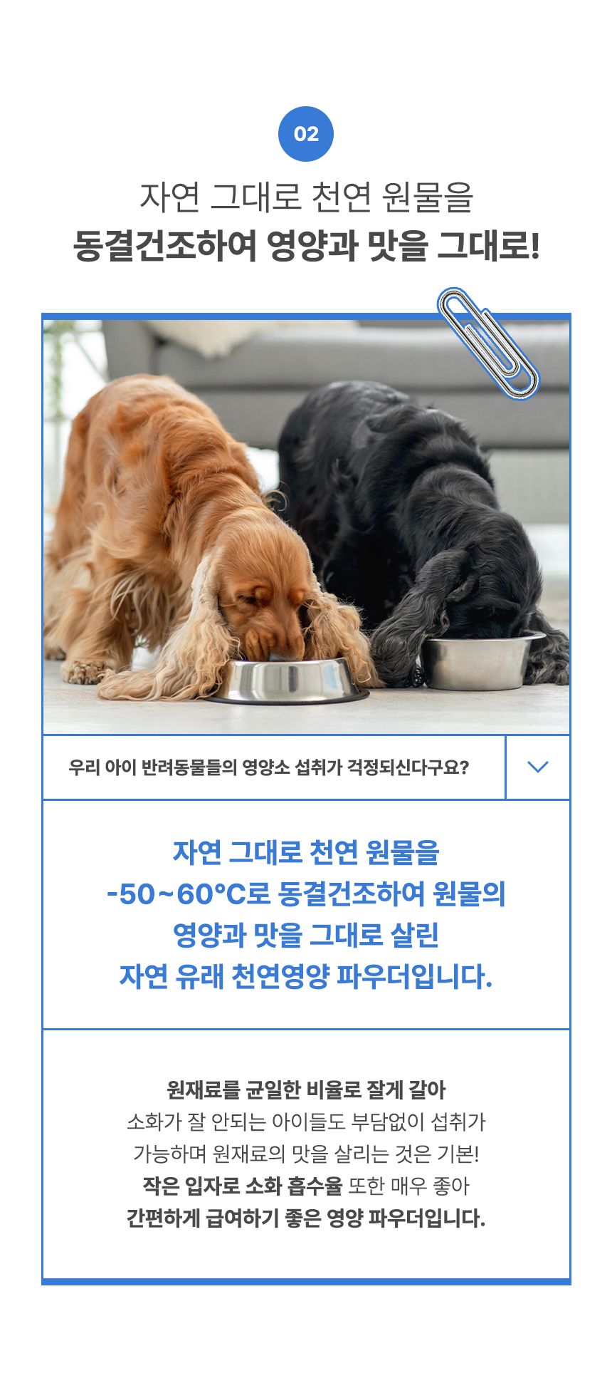 골드로니 할로할로 파우더 한우간 50g 7번째