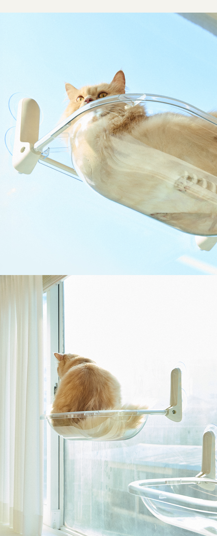 [NEW신상][무료배송] 세이펫 접이식 창문 캣타워 해먹 2종 (클리어/베이지) 3번째