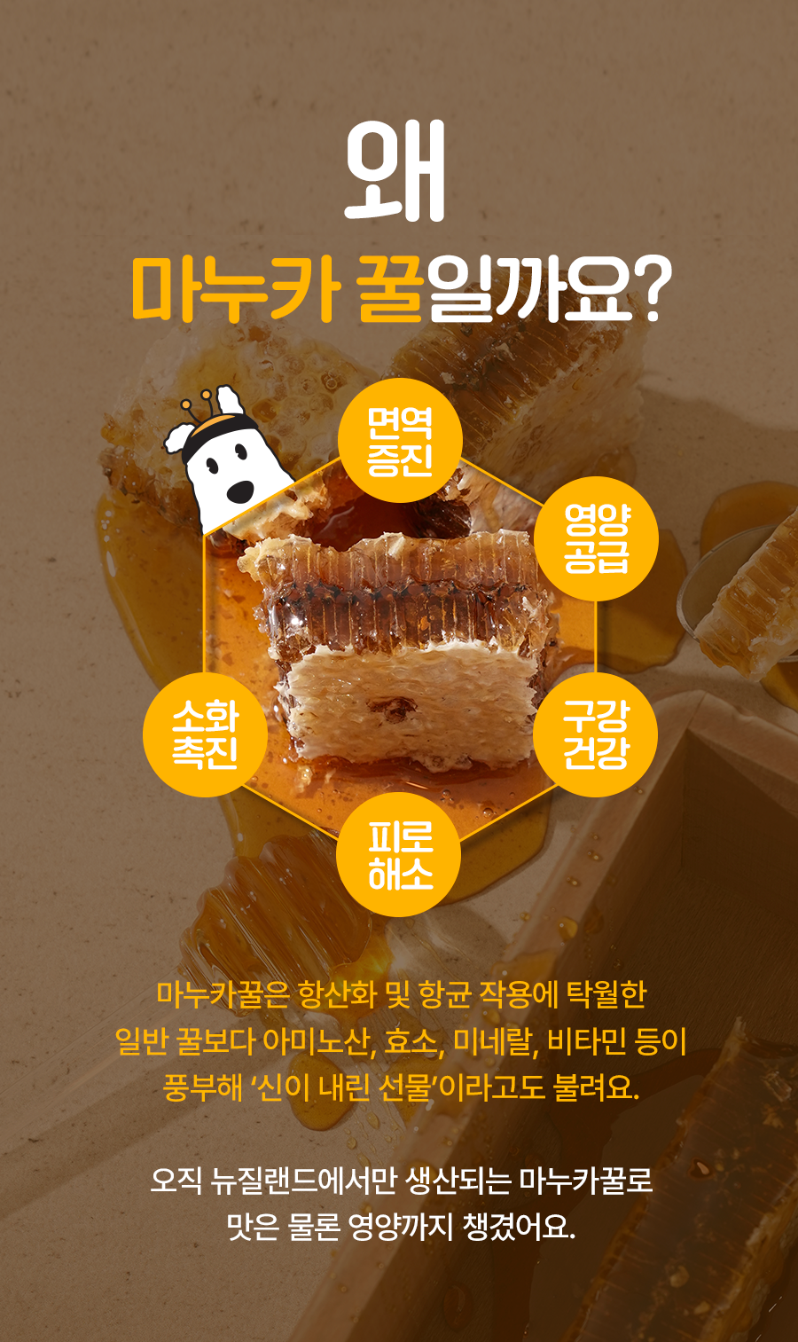 [NEW신상]잇츄 츄잇 꿀바른 터키츄 링 10g 5번째