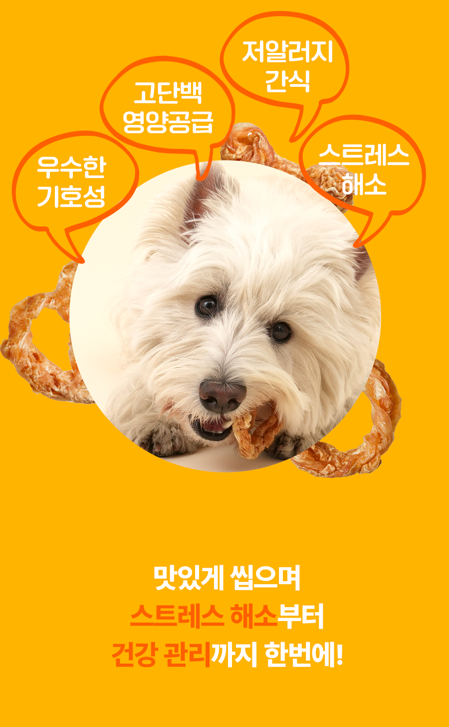 [NEW신상]잇츄 츄잇 꿀바른 터키츄 링 10g 8번째