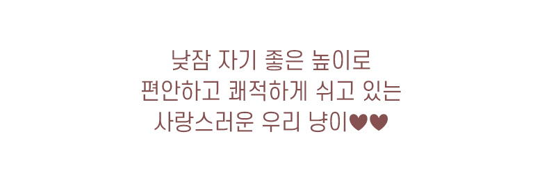 [무료배송] 모넬로 아트냥 고양이 창문 캣타워 벽부착 해먹 캣워커 300 네추럴 DO23048 22번째