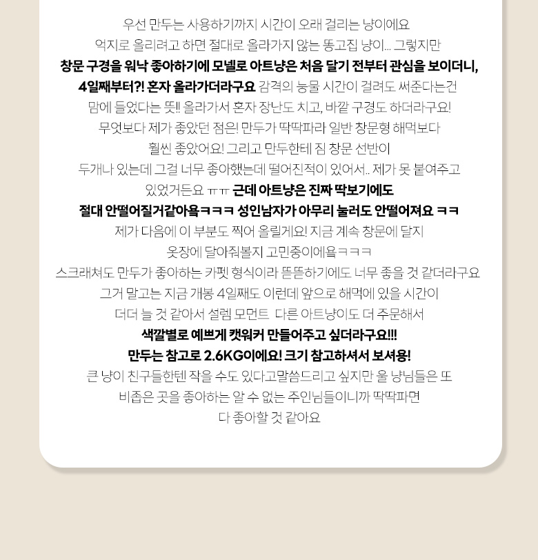 [무료배송] 모넬로 아트냥 고양이 창문 캣타워 벽부착 해먹 캣워커 300 네추럴 DO23048 9번째