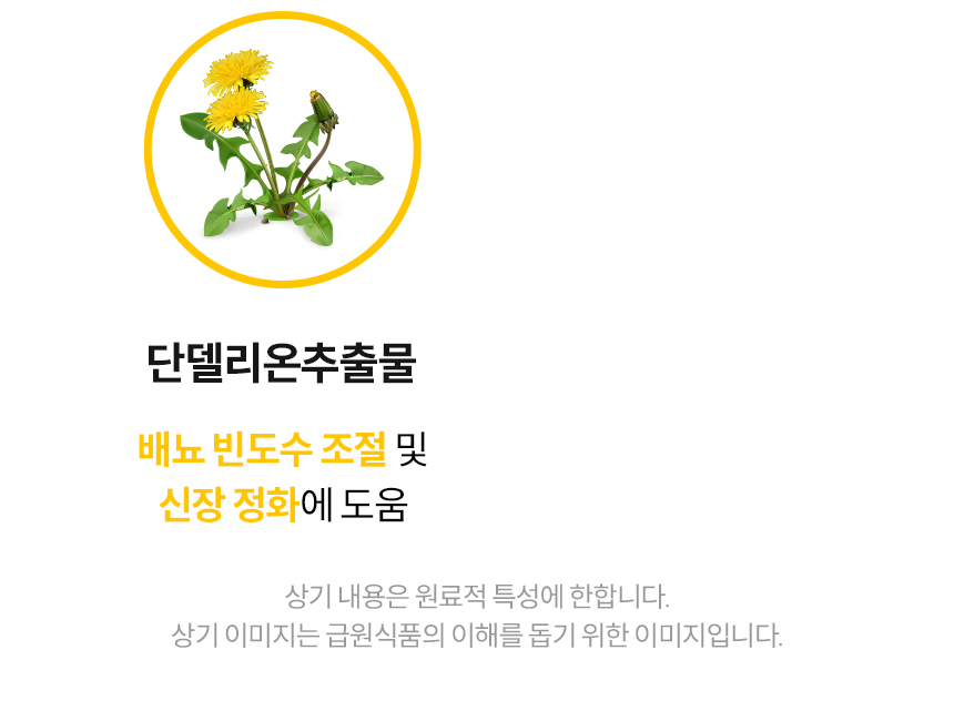 [무료배송] 본아페티 독 스테이핏 키드니캡스 60정 26번째