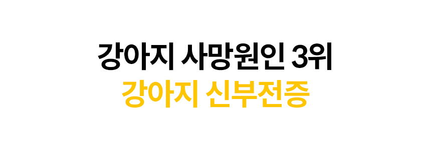 [무료배송] 본아페티 독 스테이핏 키드니캡스 60정 7번째