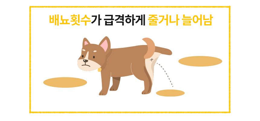 [무료배송] 본아페티 독 스테이핏 키드니캡스 60정 4번째