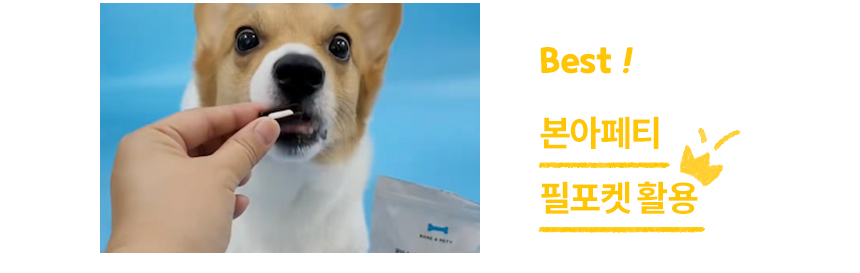 [무료배송] 본아페티 독 스테이핏 키드니캡스 60정 31번째