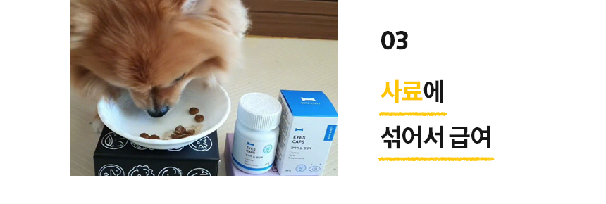 [무료배송] 본아페티 독 스테이핏 키드니캡스 60정 34번째
