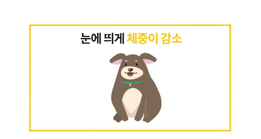 [무료배송] 본아페티 독 스테이핏 키드니캡스 60정 3번째