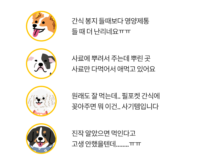 [무료배송] 본아페티 독 스테이핏 키드니캡스 60정 36번째