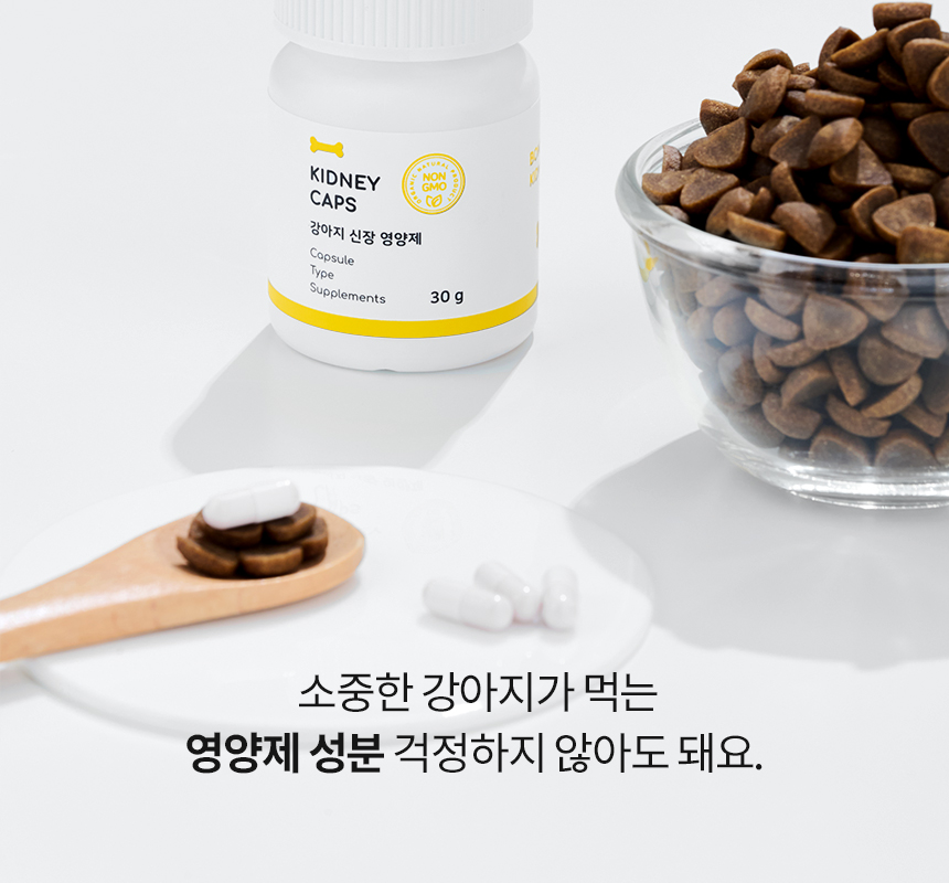 [무료배송] 본아페티 독 스테이핏 키드니캡스 60정 13번째