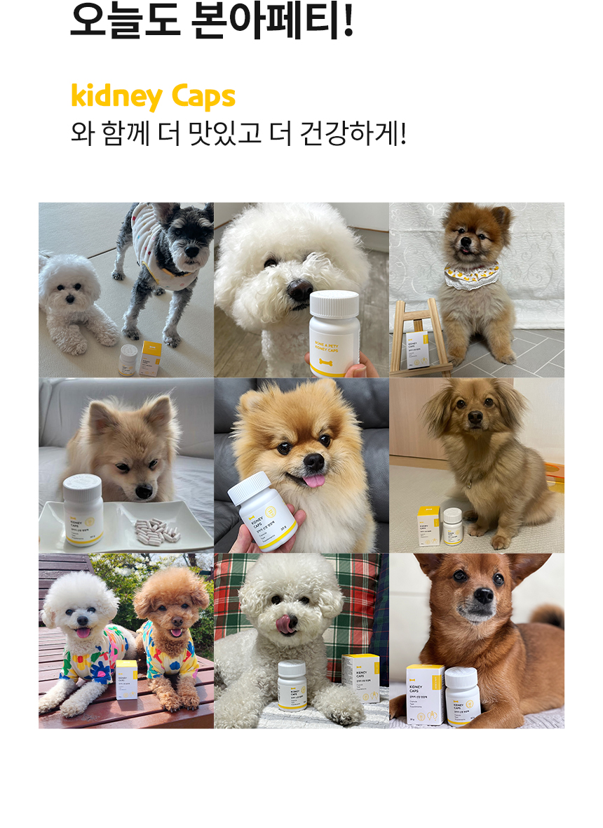 [무료배송] 본아페티 독 스테이핏 키드니캡스 60정 16번째