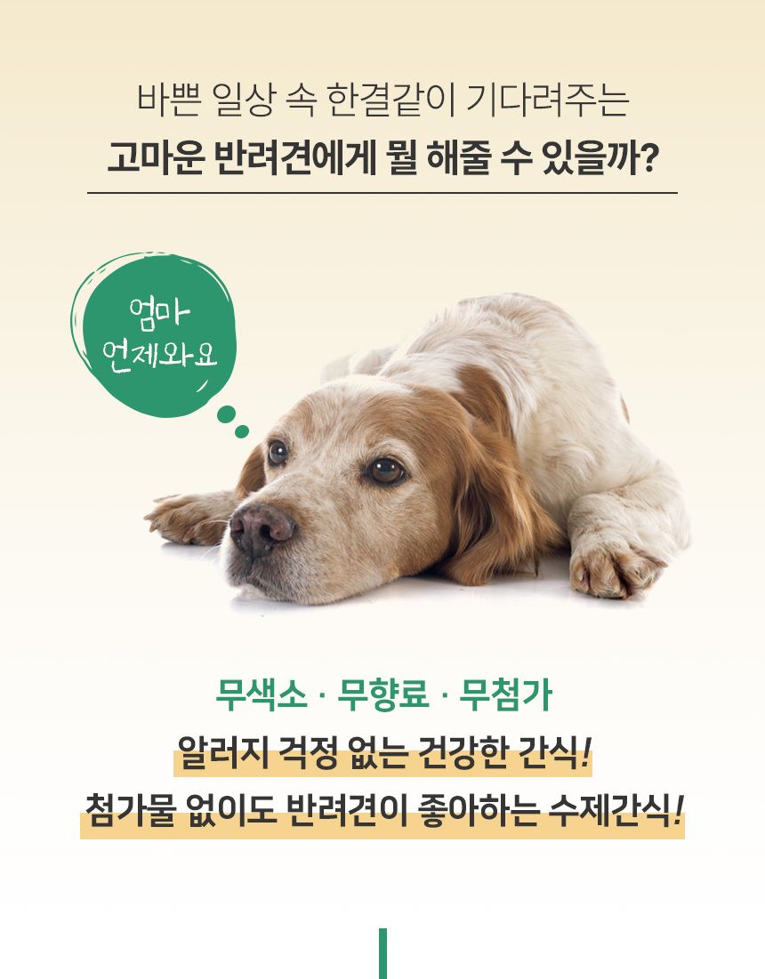 바비온 독 수제간식 파티케이크 믹스 2번째