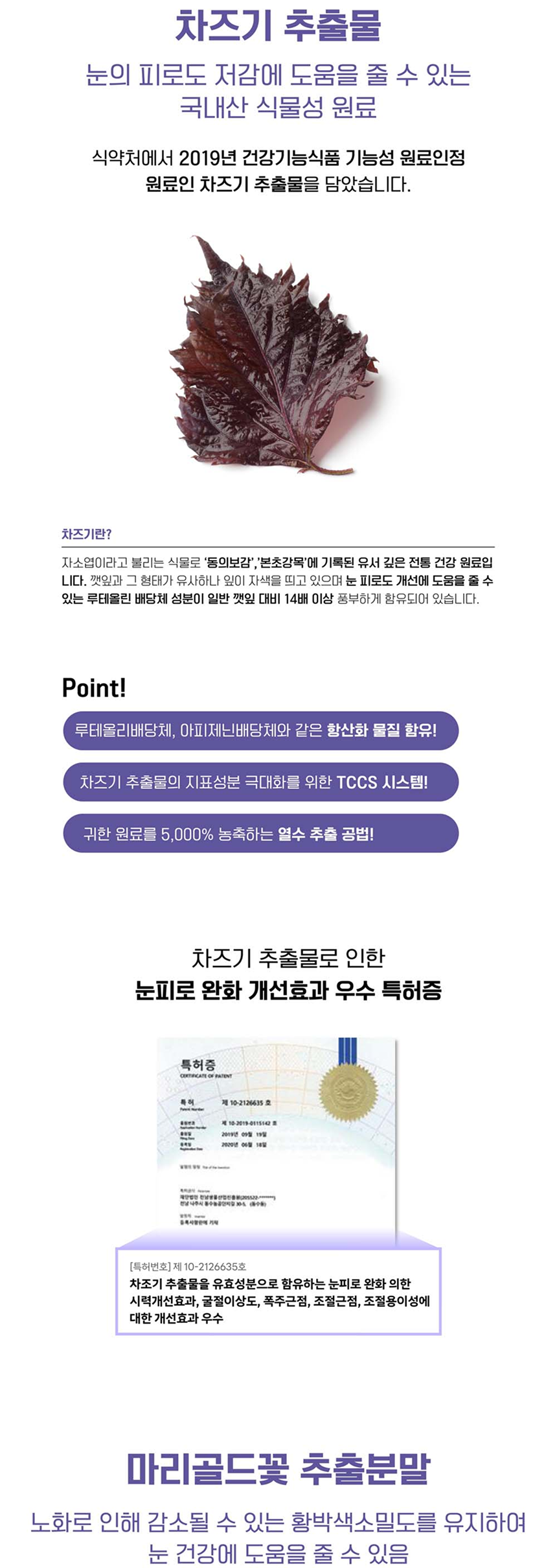 [NEW신상][무료배송] 멍멍이대학 영양제 눈건강 2g*30포 10번째