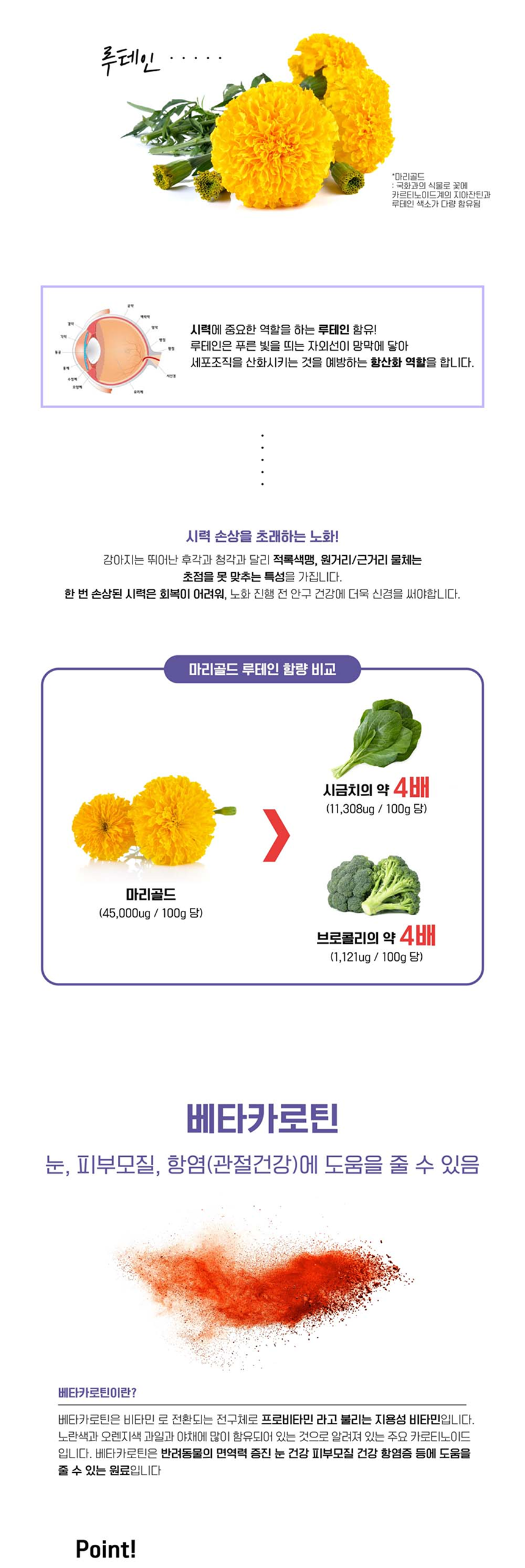 [NEW신상][무료배송] 멍멍이대학 영양제 눈건강 2g*30포 11번째