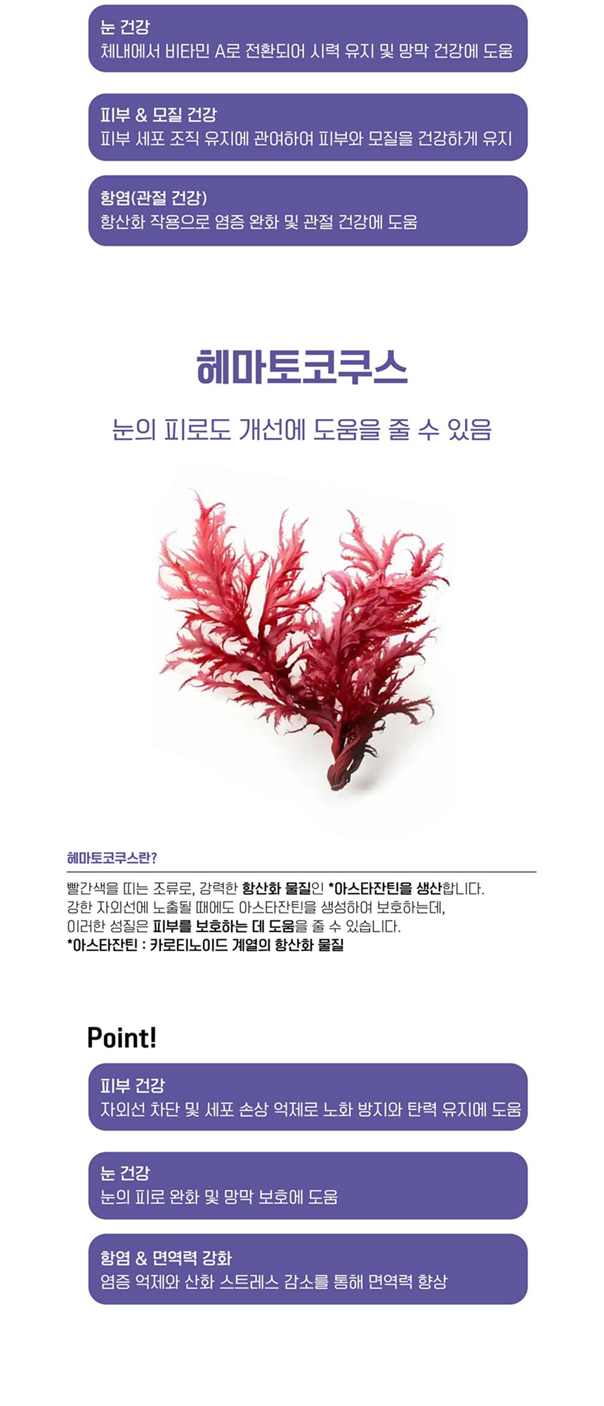 [NEW신상][무료배송] 멍멍이대학 영양제 눈건강 2g*30포 12번째