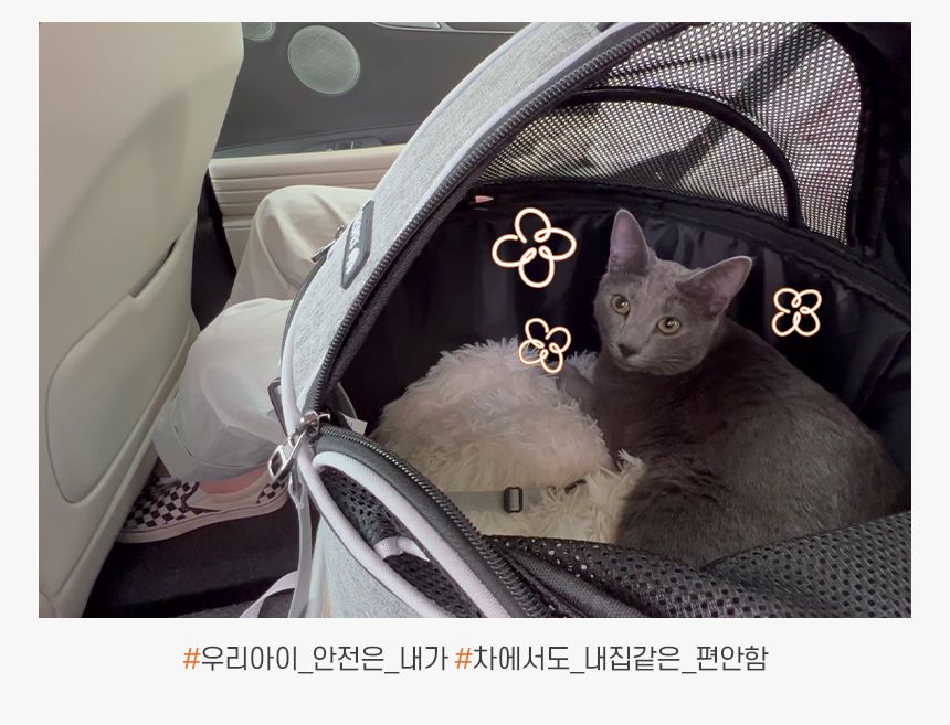 [무료배송] 리스펫 허리펴고 숨숨 돔형 이동장 마약방석 SET  34번째