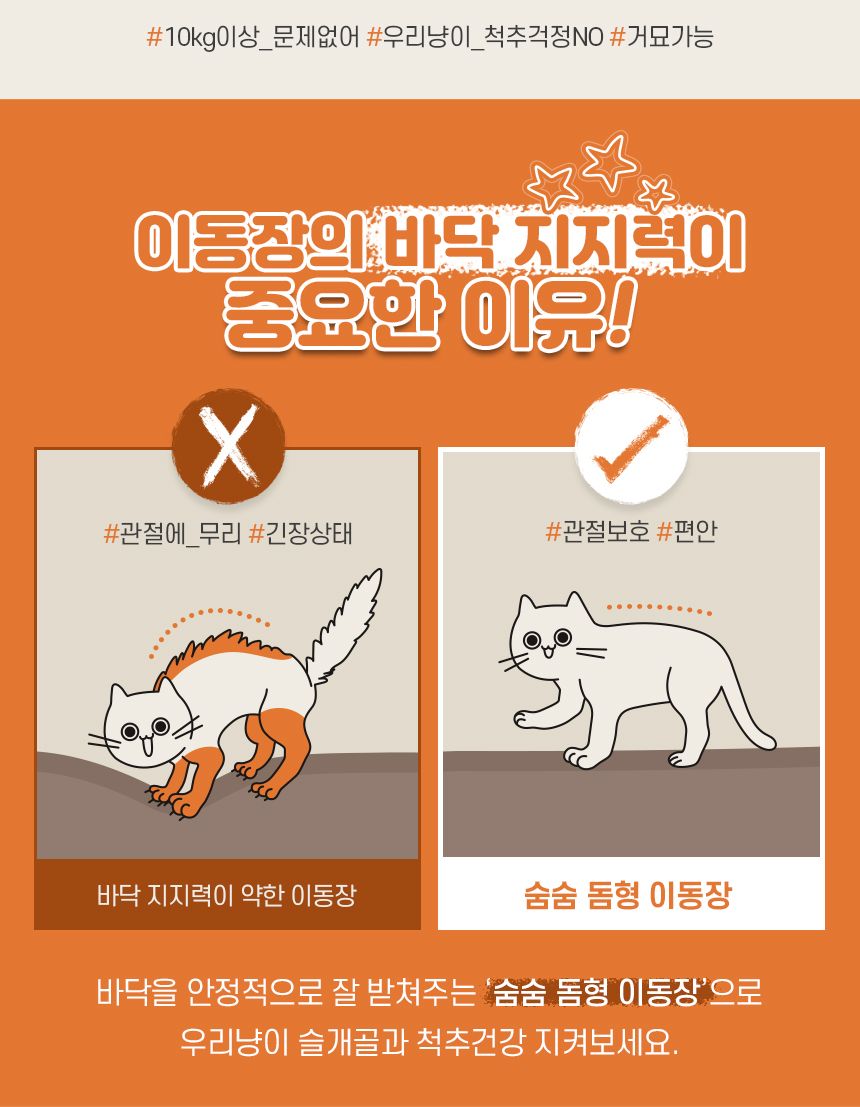 [무료배송] 리스펫 허리펴고 숨숨 돔형 이동장 마약방석 SET  29번째