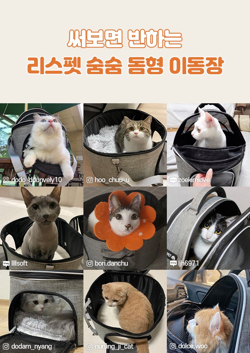 [무료배송] 리스펫 허리펴고 숨숨 돔형 이동장 마약방석 SET  9번째
