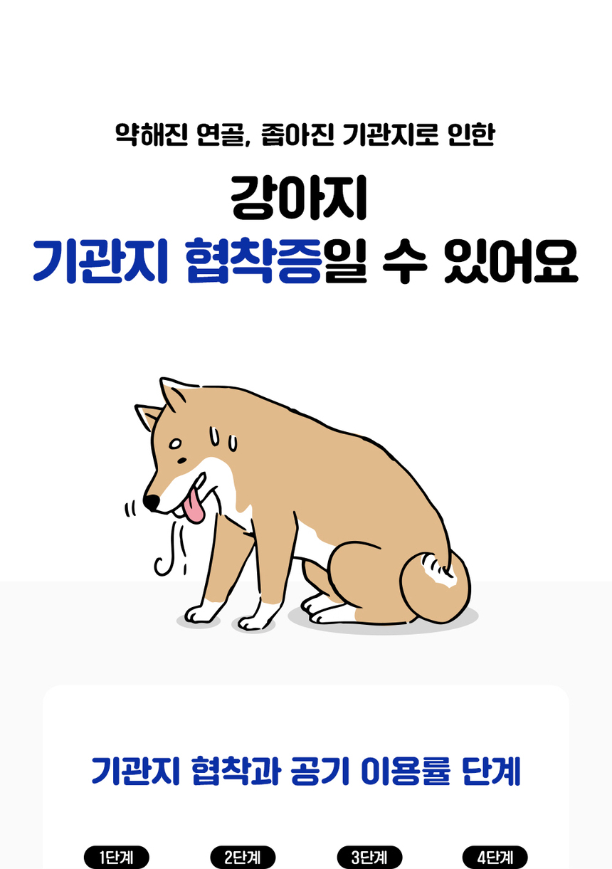 [무료배송] 라이프펫 강아지 기관지영양제 브레스 90g 9번째