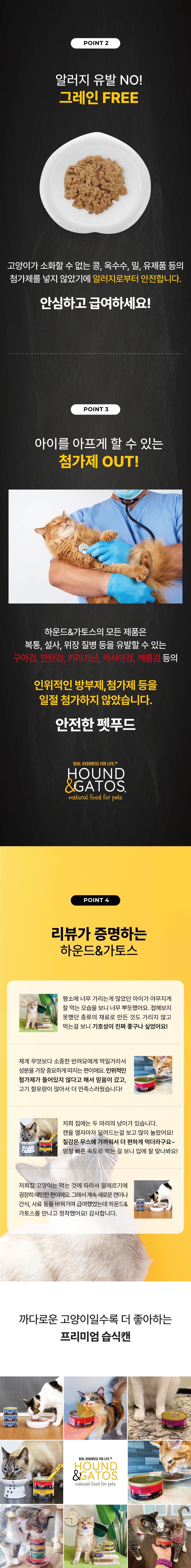 [추가증정] 호랑이 낚시대 + 하운드앤가토스 1군 주식캔 156g 증정 (7종 중 택1) 22번째