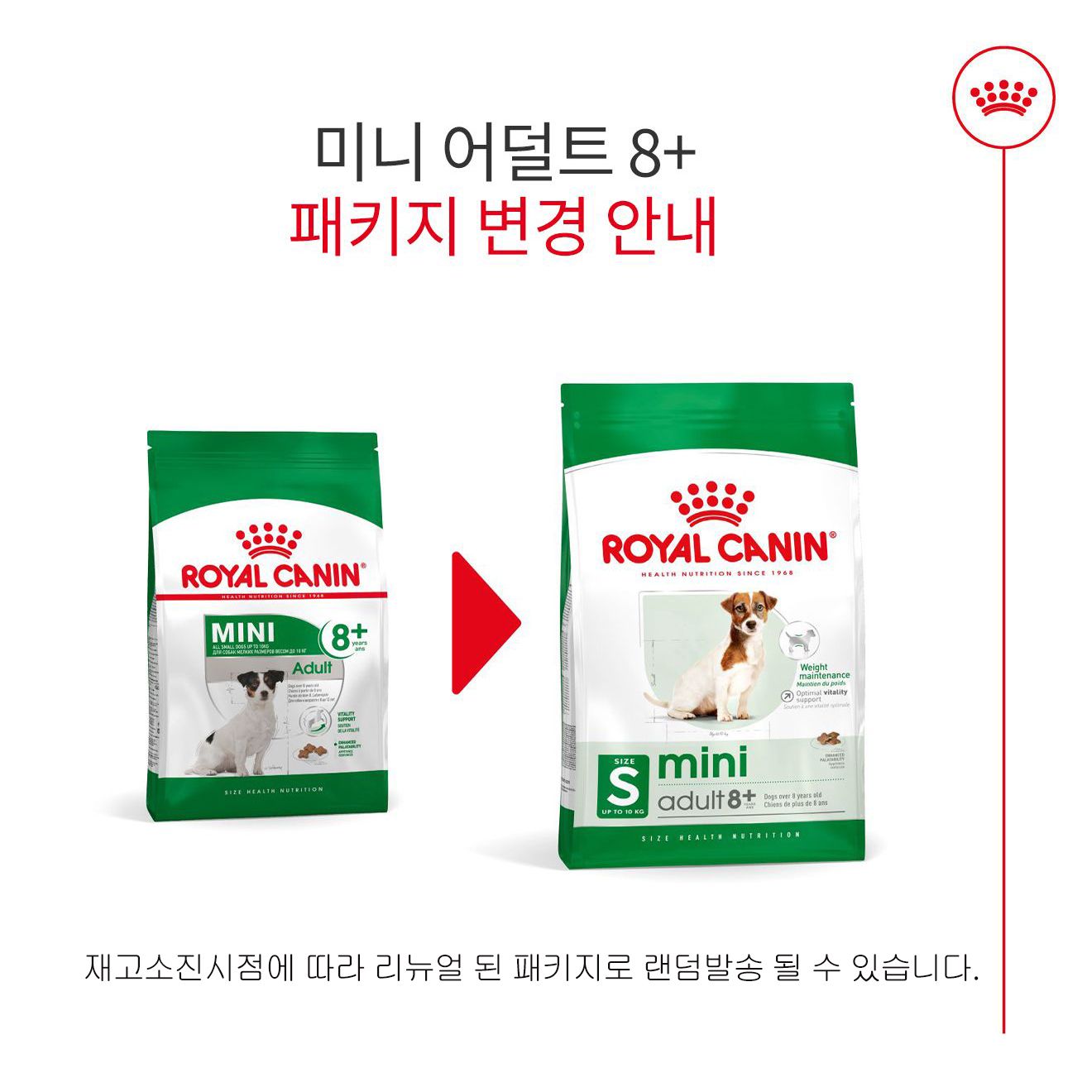로얄캐닌 독 미니 어덜트 8+ 8kg 치석예방 1번째