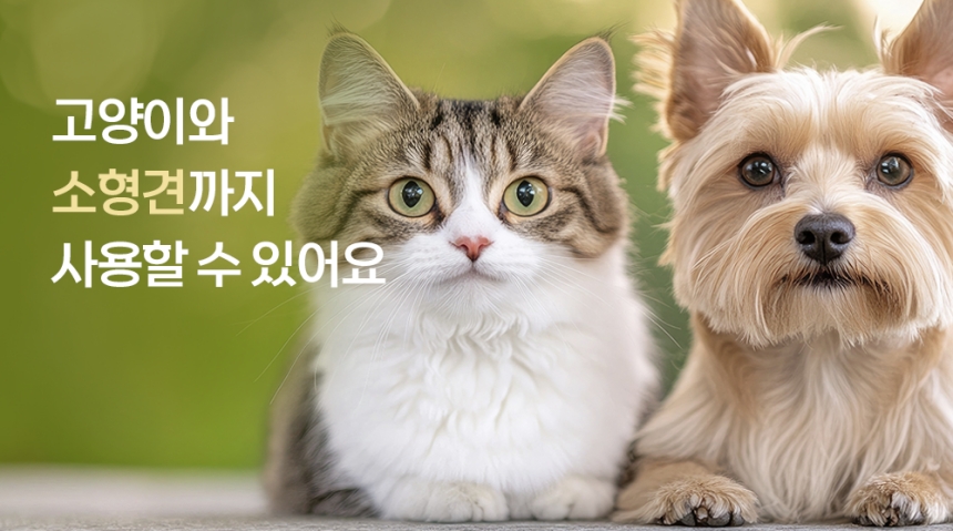 [체험단] [무료배송] 묘향가 필터제로 ai센서 무선무소음 자동급수기 스탠다드형 35번째