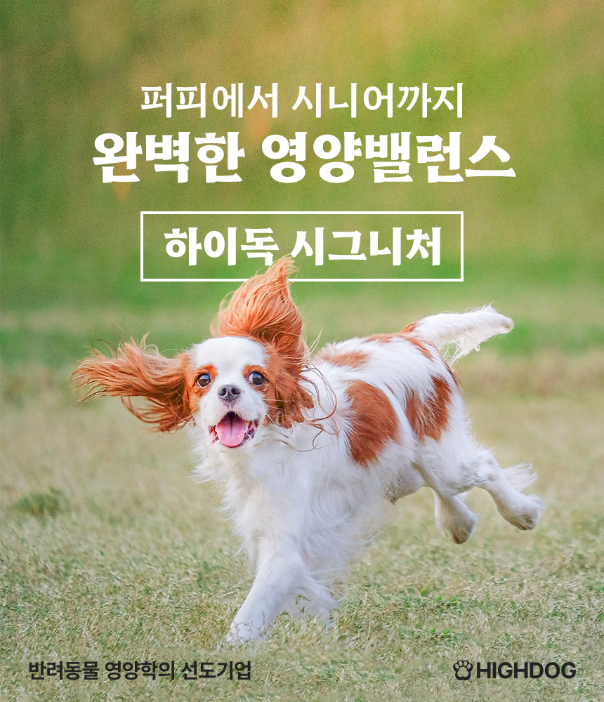 [무료배송] 하이독 시그니처 오리고기 화식 100g*20팩 1번째