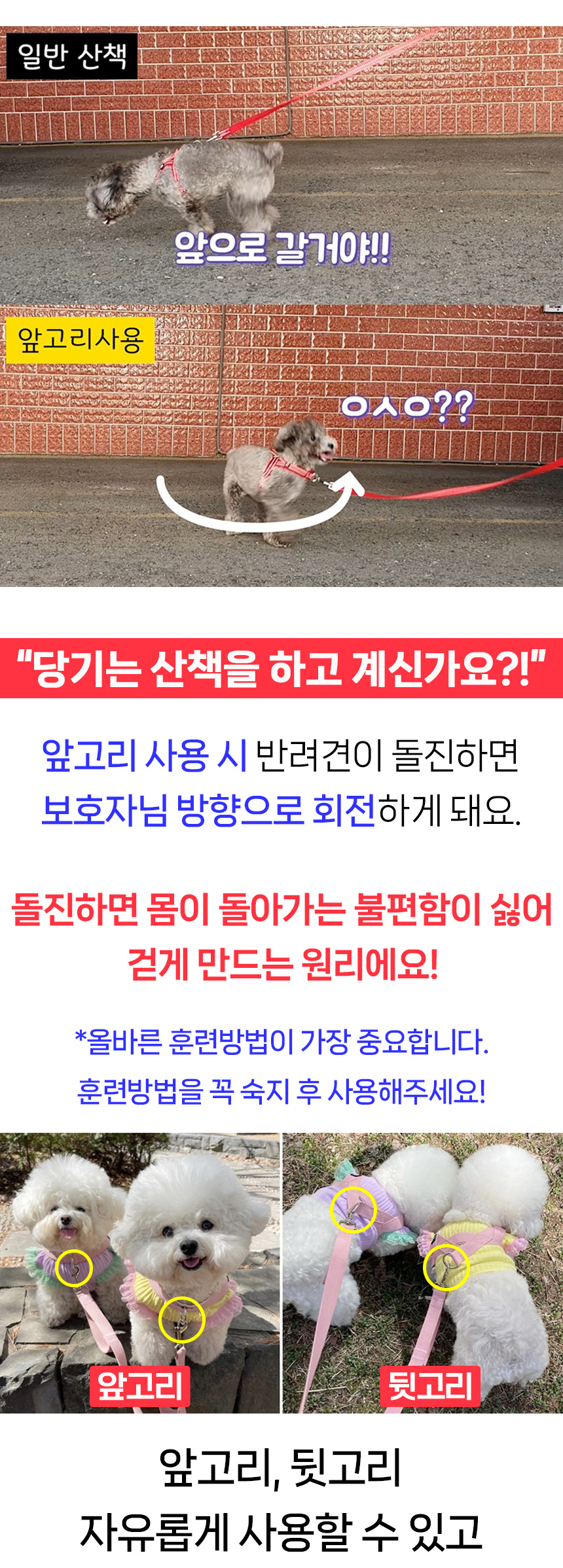 [무료배송] 멍템 팔레트 하네스 리드줄 1.8m 세트 XXS-M 15번째