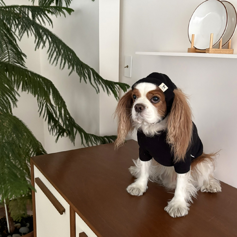 [NEW신상][무료배송] 해피댕댕 힙쟁이비니 2종 (블랙,그레이) S-L 8번째