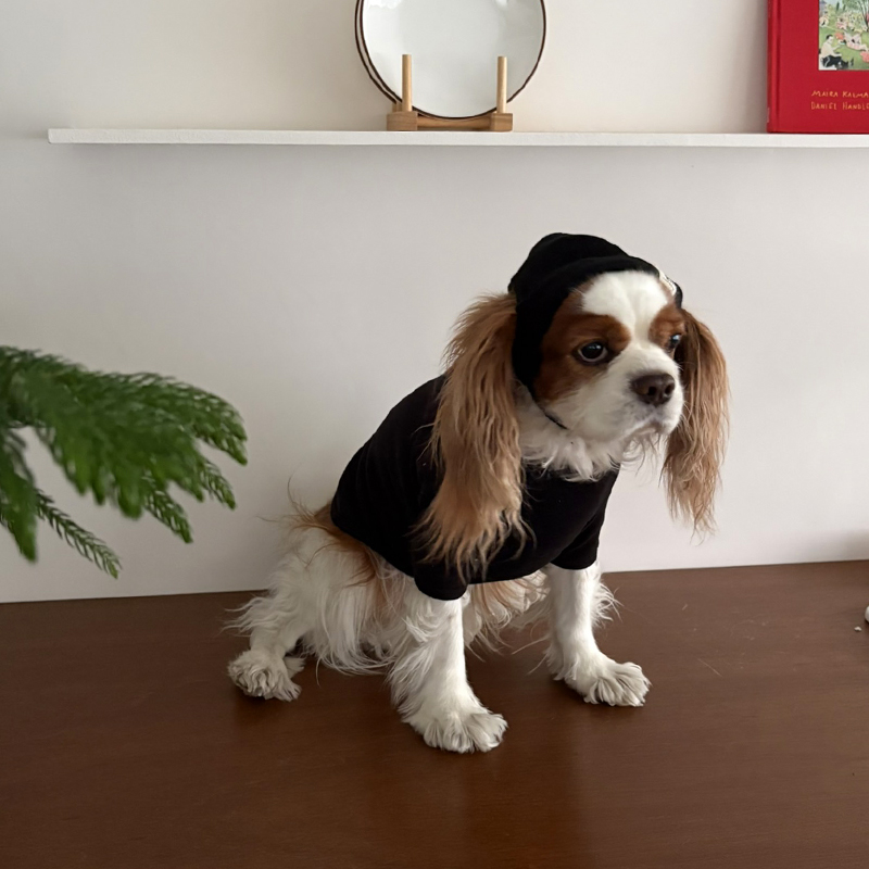 [NEW신상][무료배송] 해피댕댕 힙쟁이비니 2종 (블랙,그레이) S-L 10번째