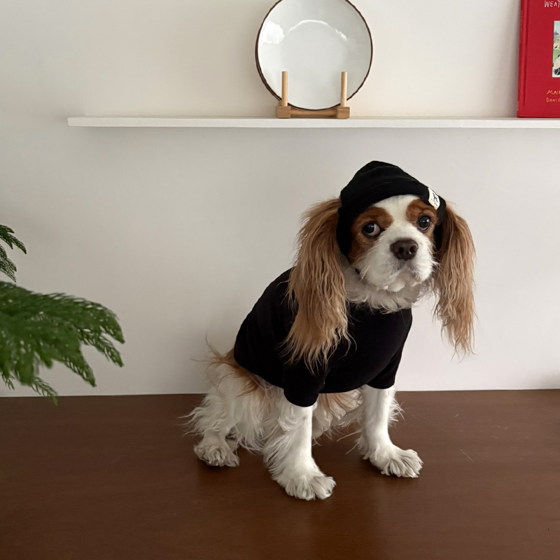 [NEW신상][무료배송] 해피댕댕 힙쟁이비니 2종 (블랙,그레이) S-L 9번째