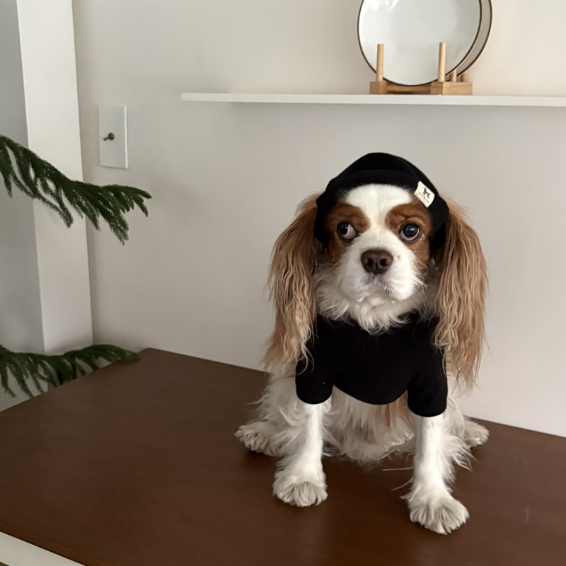 [NEW신상][무료배송] 해피댕댕 힙쟁이비니 2종 (블랙,그레이) S-L 7번째