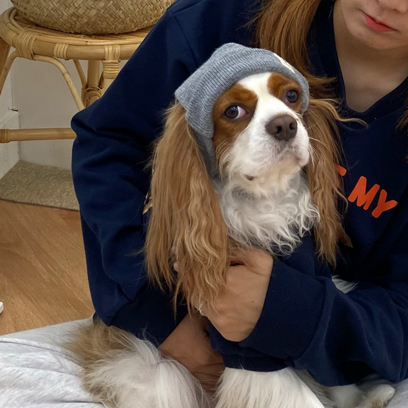 [NEW신상][무료배송] 해피댕댕 힙쟁이비니 2종 (블랙,그레이) S-L 14번째