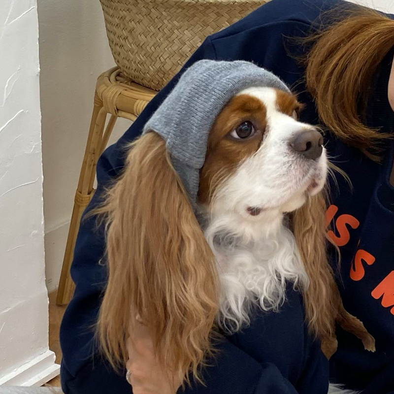 [NEW신상][무료배송] 해피댕댕 힙쟁이비니 2종 (블랙,그레이) S-L 12번째