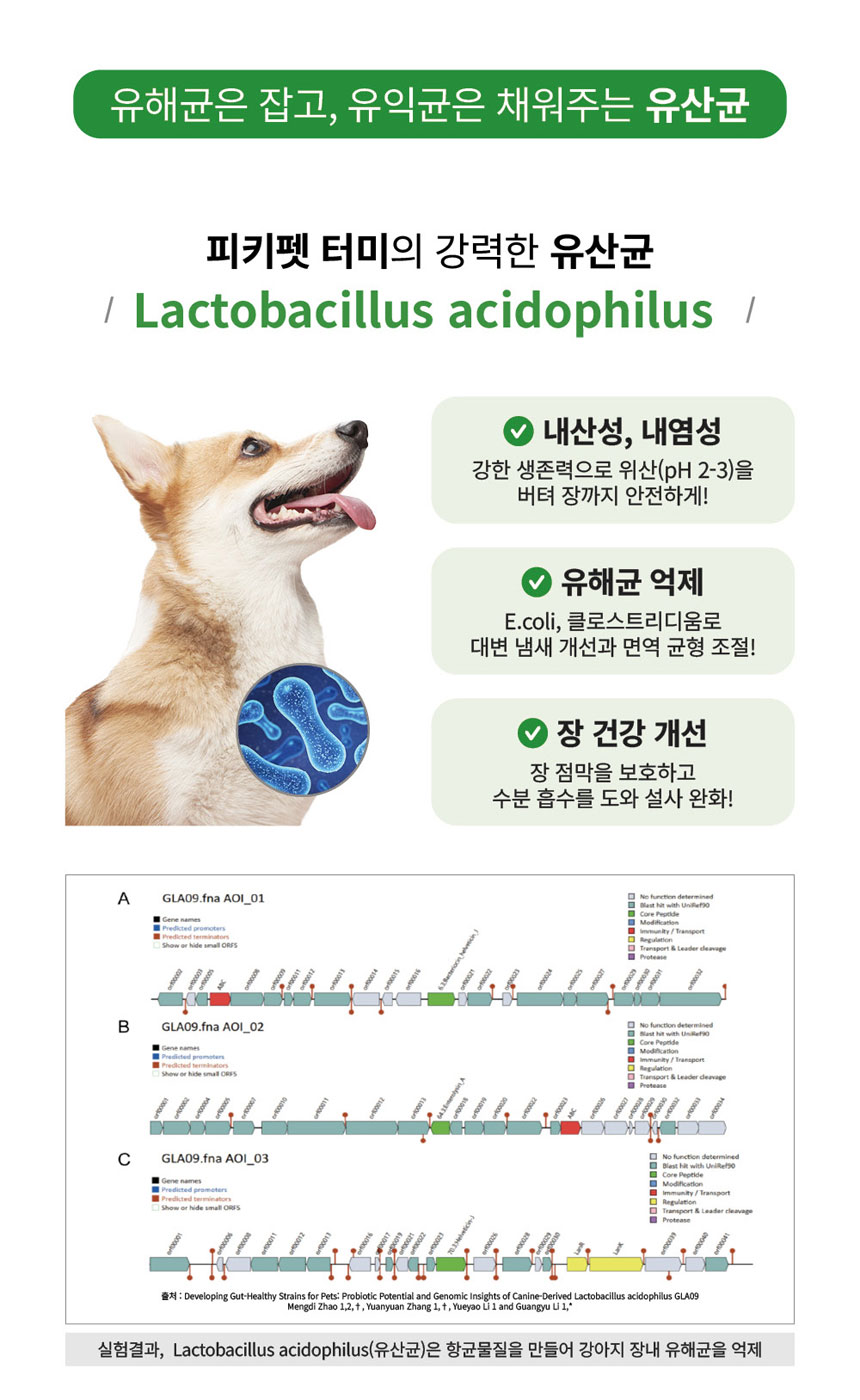 [NEW신상][무료배송] 피키펫 독 장&위 영양제 10g*20개입 13번째