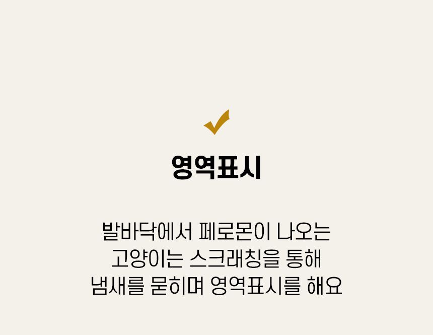 집사야 너도 이거 사와라 식빵스크래쳐 1m 11번째