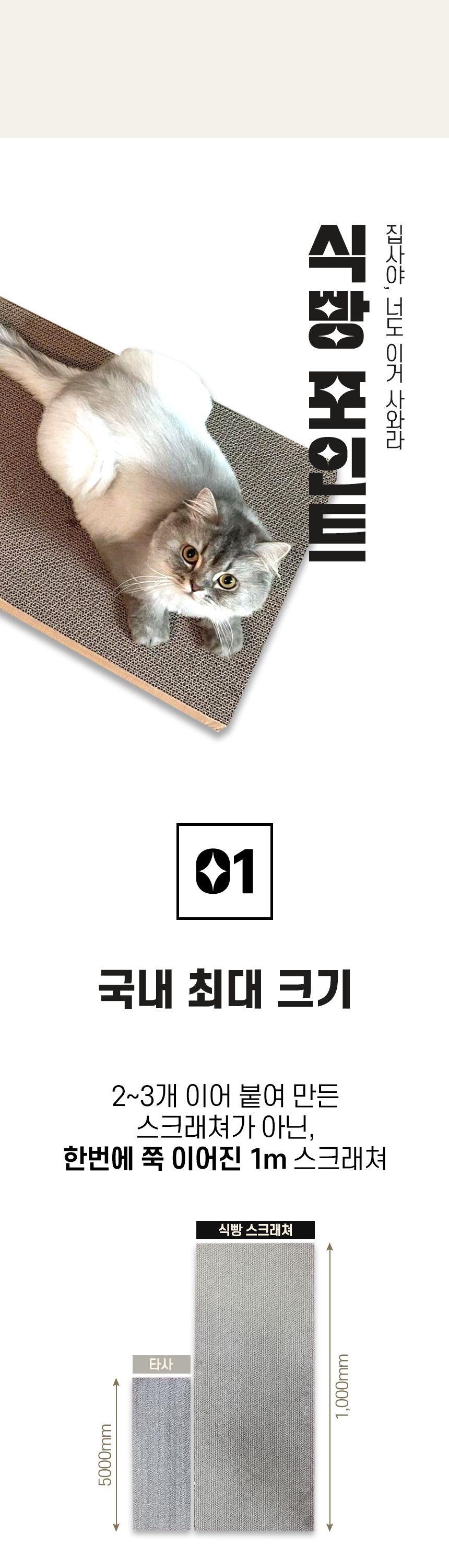 집사야 너도 이거 사와라 식빵스크래쳐 1m 13번째
