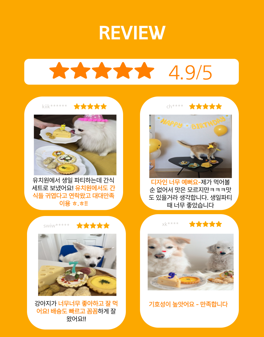 [무료배송] 오간식 독 생일파티 생일맛보기 세트 3번째