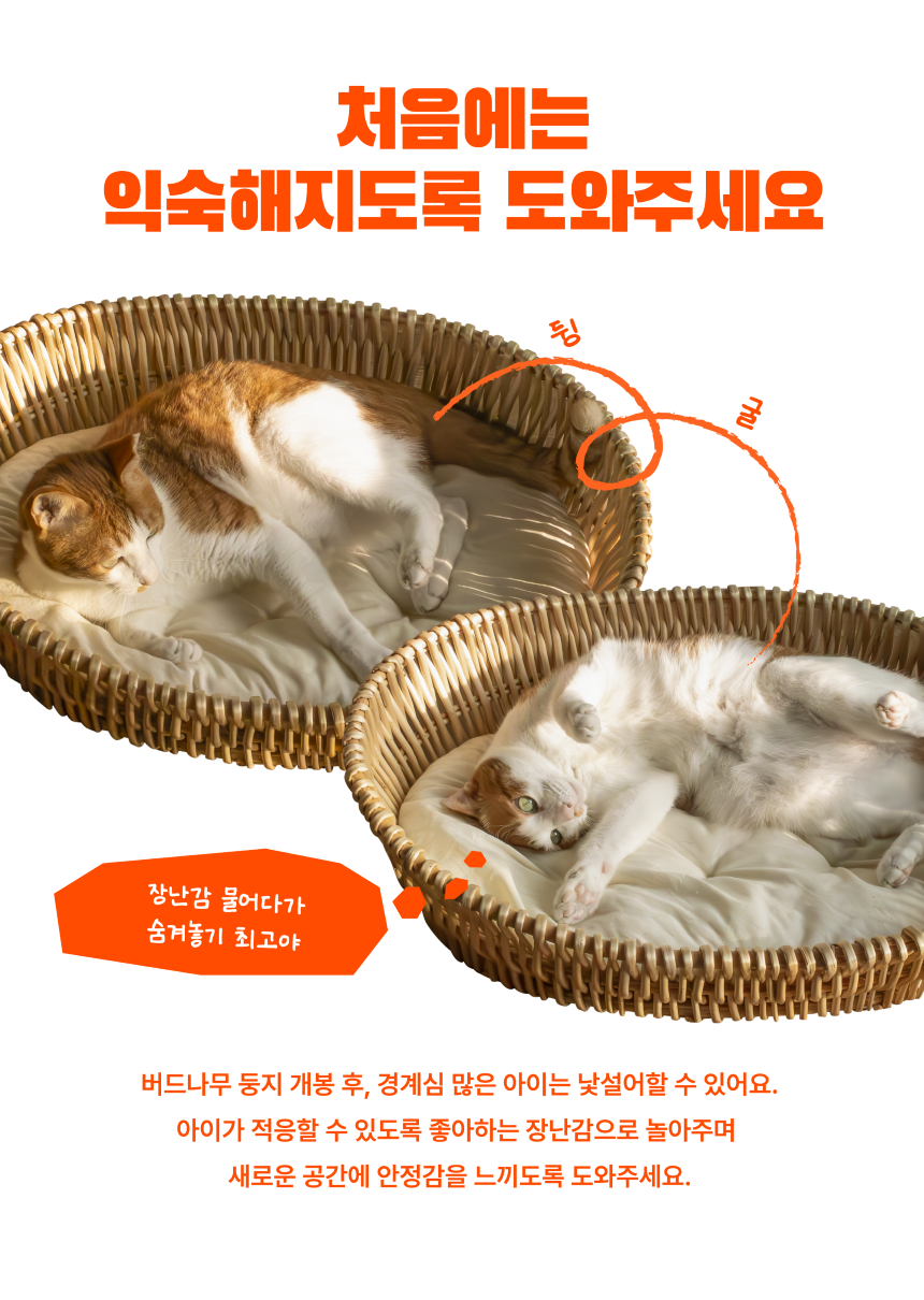 [무료배송] 차즈마켓 버드나무 둥지 라탄 하우스 M/L 7번째