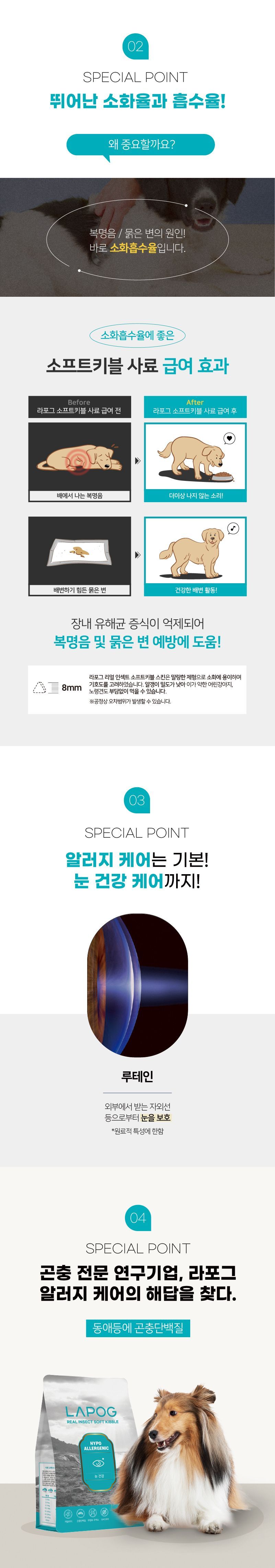 [체험단] [3개] 라포그 독 리얼인섹트 소프트키블 아이케어 40g 11번째