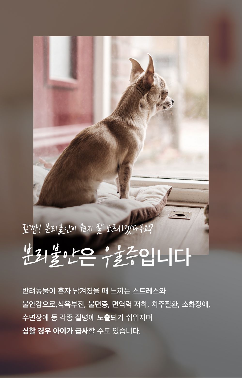마이펫닥터 릴렉스 원츄 80g 9번째
