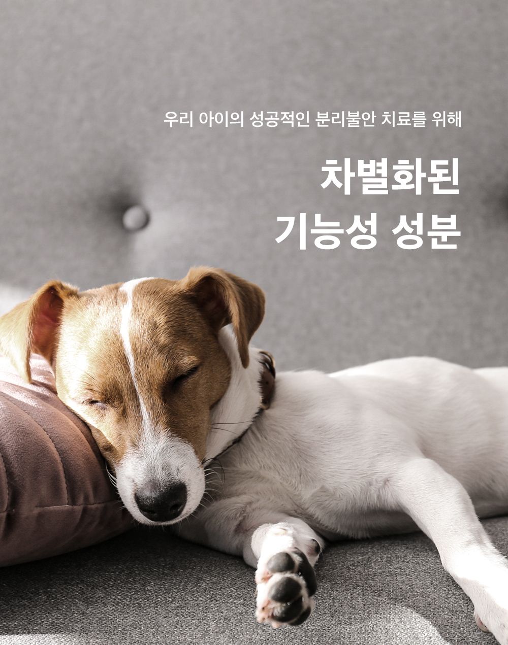 마이펫닥터 릴렉스 원츄 80g 11번째