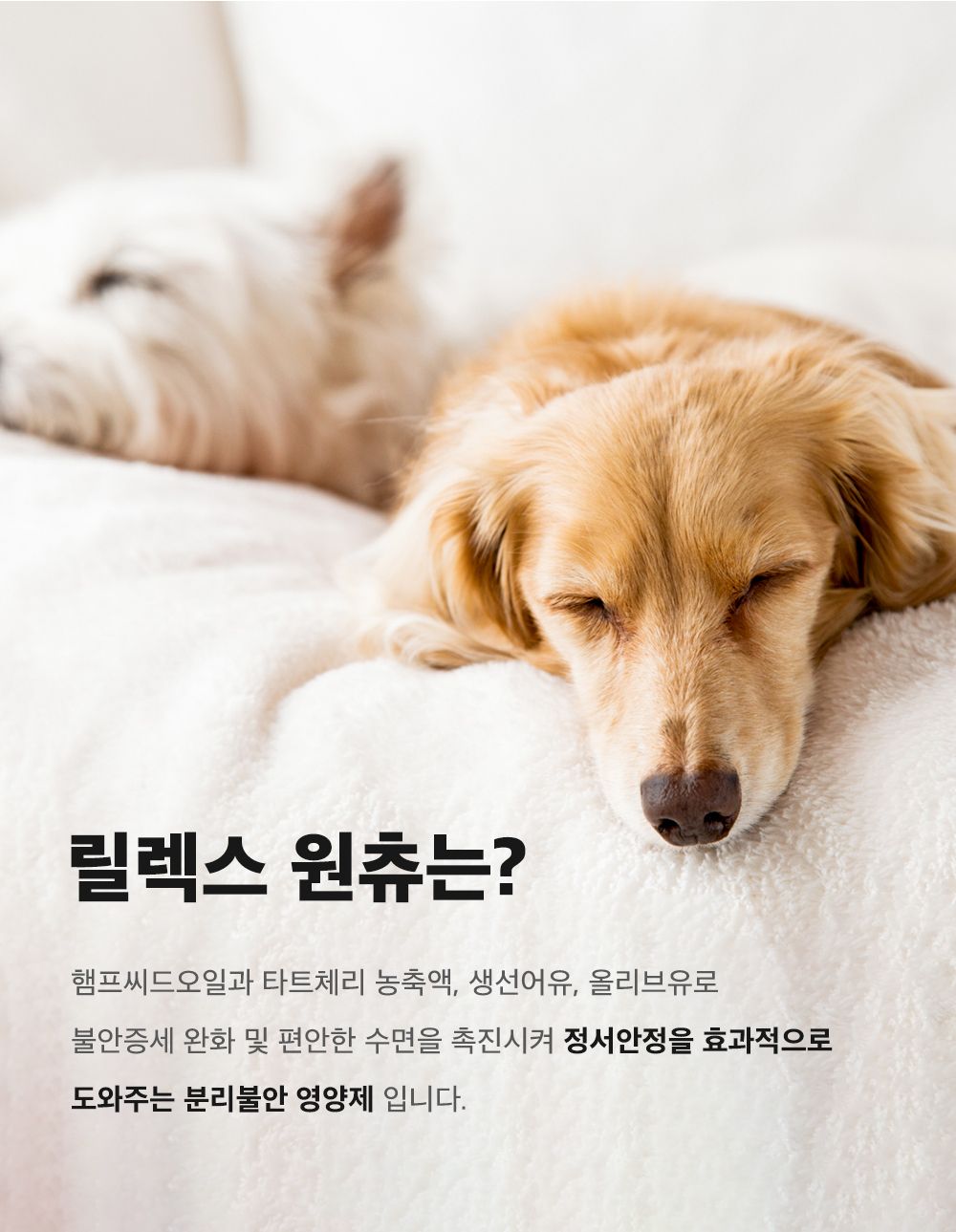 마이펫닥터 릴렉스 원츄 80g 8번째