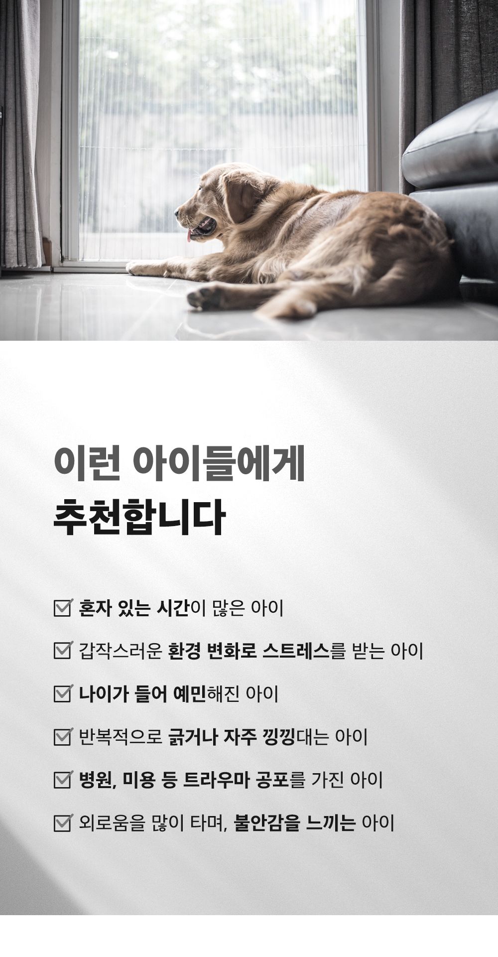 마이펫닥터 릴렉스 원츄 80g 21번째