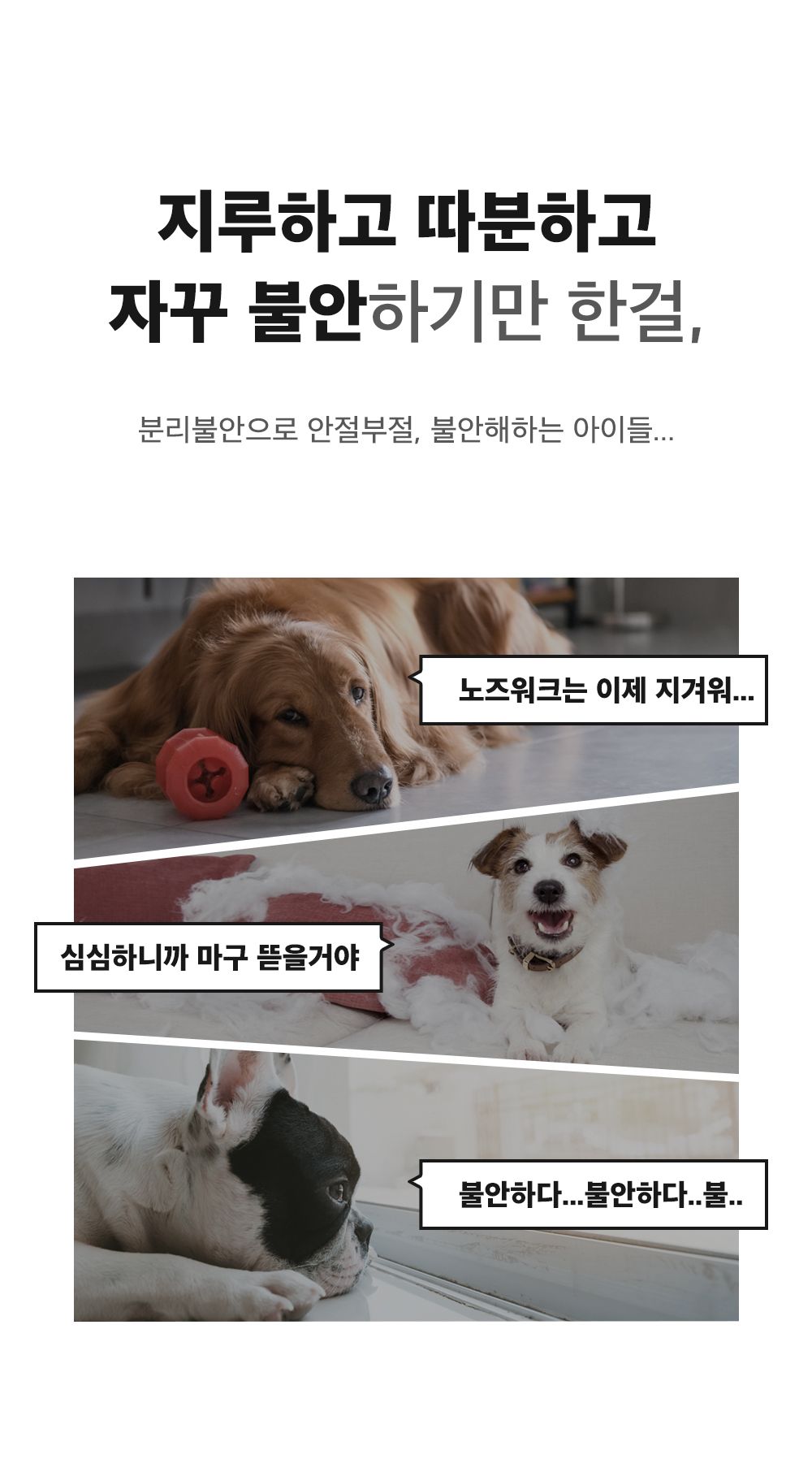 마이펫닥터 릴렉스 원츄 80g 6번째