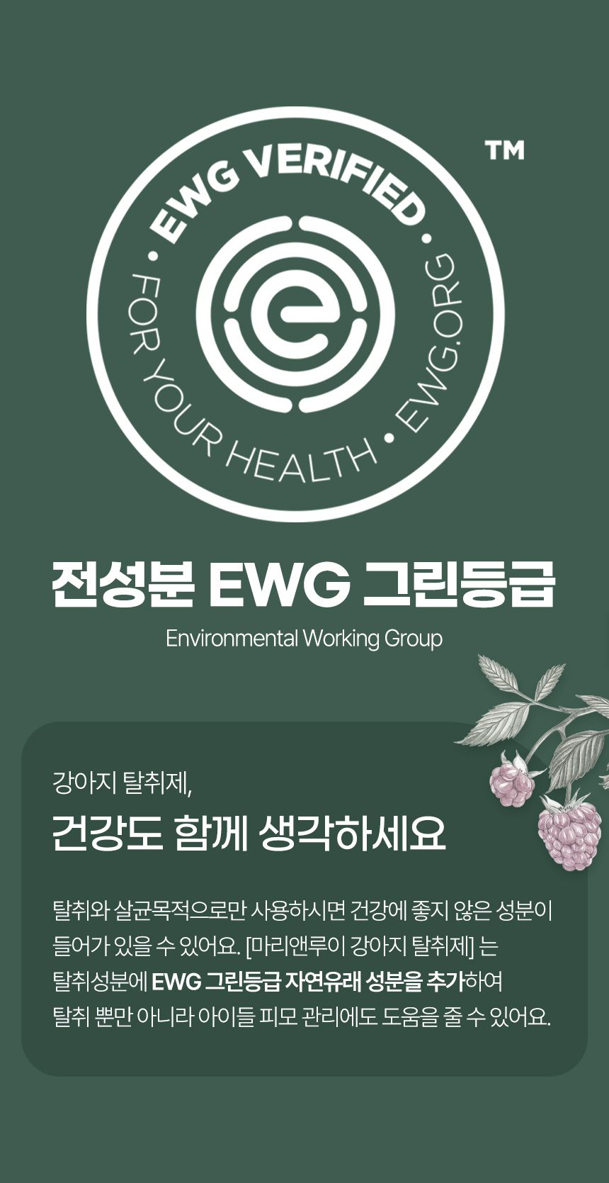 [체험단] [무료배송] 마리앤루이 천연 탈취제 500ml 1개 16번째