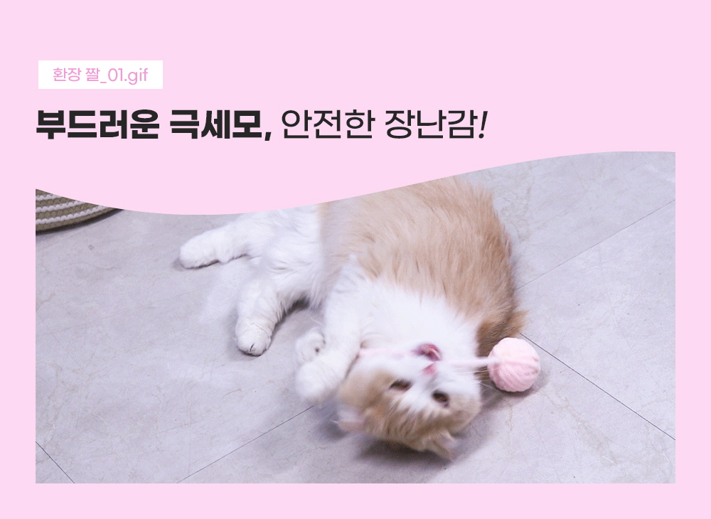 [무료배송] 에코펫위드 털실볼 장난감 3개입 2번째